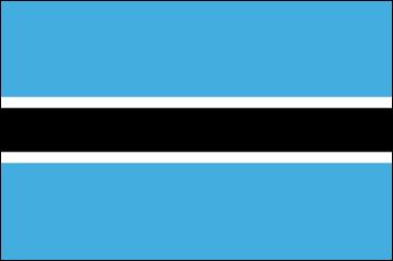 Image result for Botswana  flag