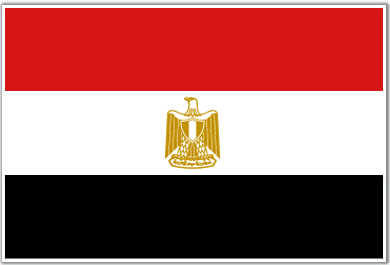 Egypt Eagle Flag