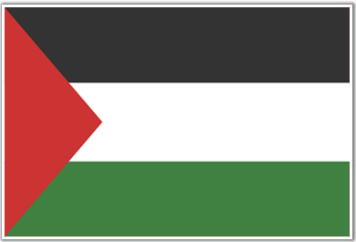 World  Black  White on Flag Of Palestine  Palestinian Flag