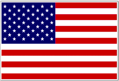 Image result for United States flag