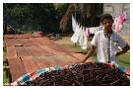 Madagascar Economy and Business