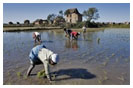 Madagascar Land and People