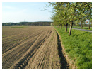 �conomie et affaires