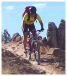 Jama�que Activit�s