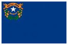 NEVADA STATE