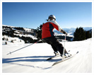 Ski Suisse