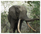 G�ographie de l'Afrique du Sud