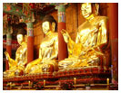 South Korea Travel Guide