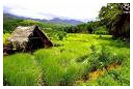 Sri Lanka Tourism
