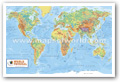Carte d'examen m�dical du monde