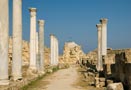 History and Culture