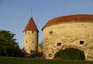 History and Culture
