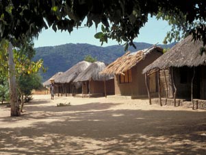 Malwai