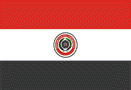 Flag of Paraguay