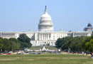 Washington D.C.