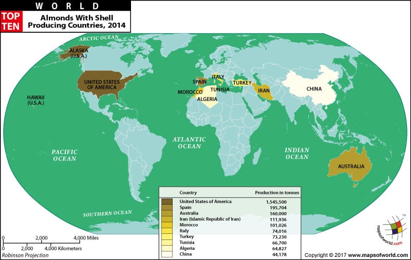 world map with countries and capitals free download. world map with countries and