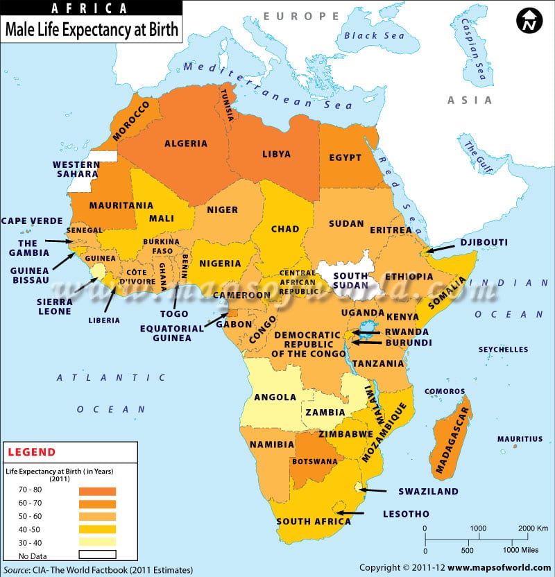 Male Life Expectancy at Birth in African Countries