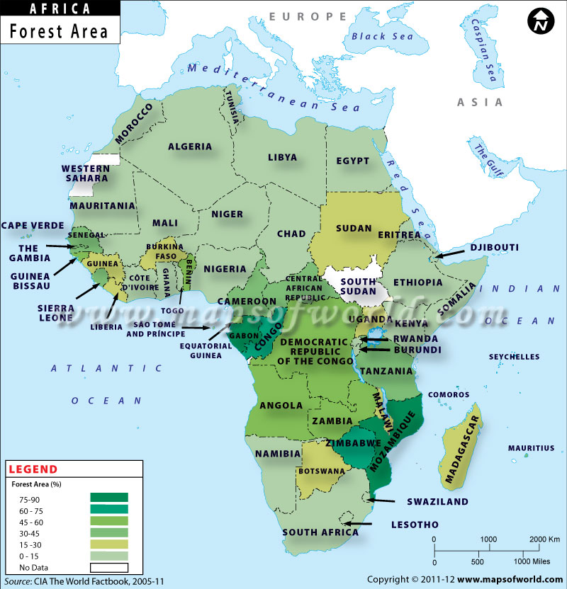 African Countries by Forest Area