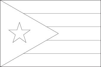 Blank Puerto Rico Flag