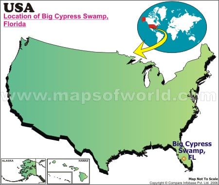 Where is Big Cypress Swamp, Florida