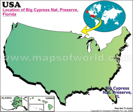 Where is Big Cypress Nat Reserve, Florida