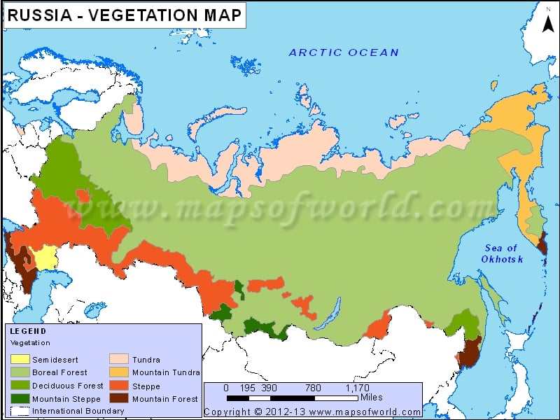 Russia Vegetation Map