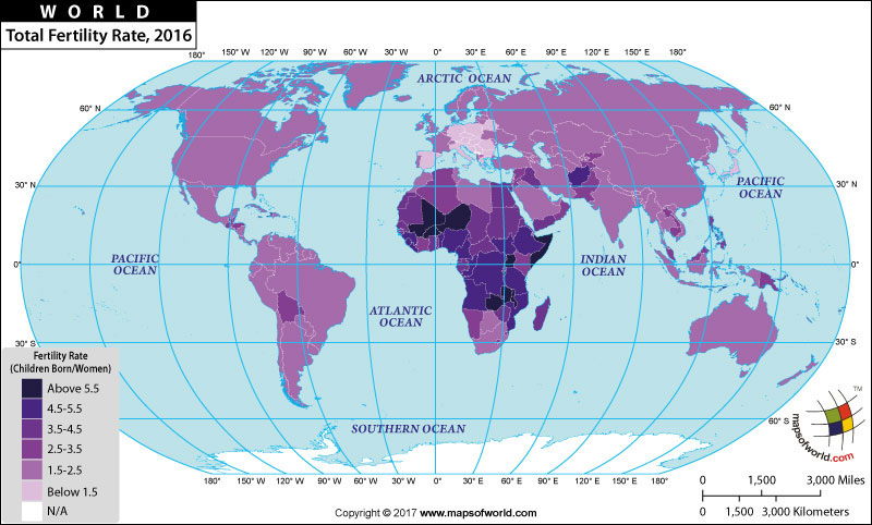 Total Fertility Rate