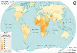 Total Fertility Rate of the World 