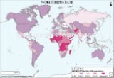 World Birth Rate Map