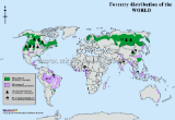 World Forestry Distribution Map