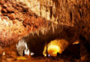 Carlsbad Caverns National Park Travel Information