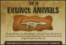 Top 10 Extinct Animals