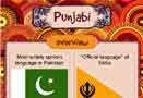 Infographic on Punjabi Language