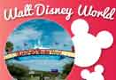 Info on Walt Disney World