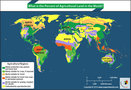 World Map depicting employment in agriculture