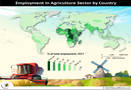 What is the percent of agricultural land in the world?