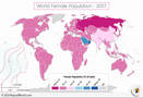 What is the female population around the world?