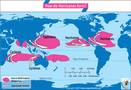 What is the difference between hurricane, typhoon, and cyclone?