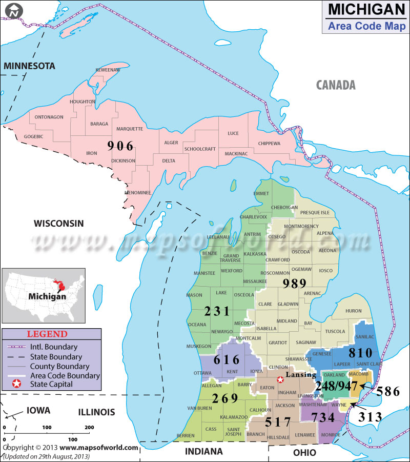 Michigan Area Codes