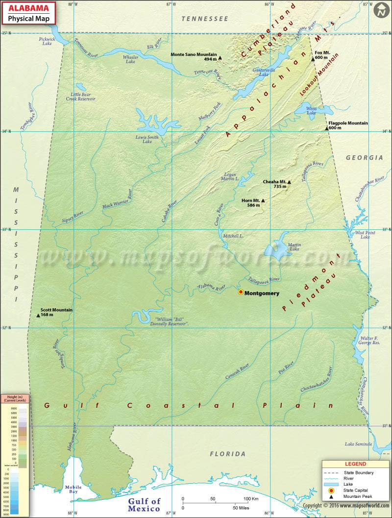 Physical Map of Alabama