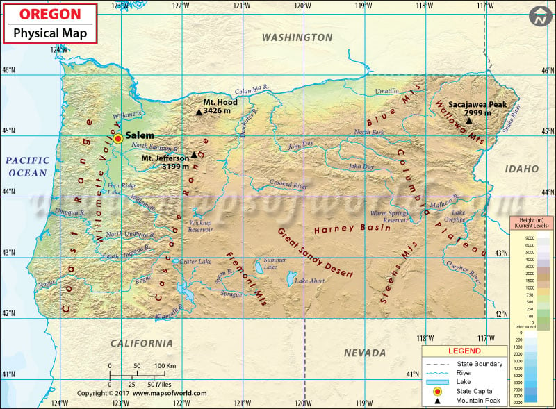 Physical Map Of Oregon Oregon Physical Map
