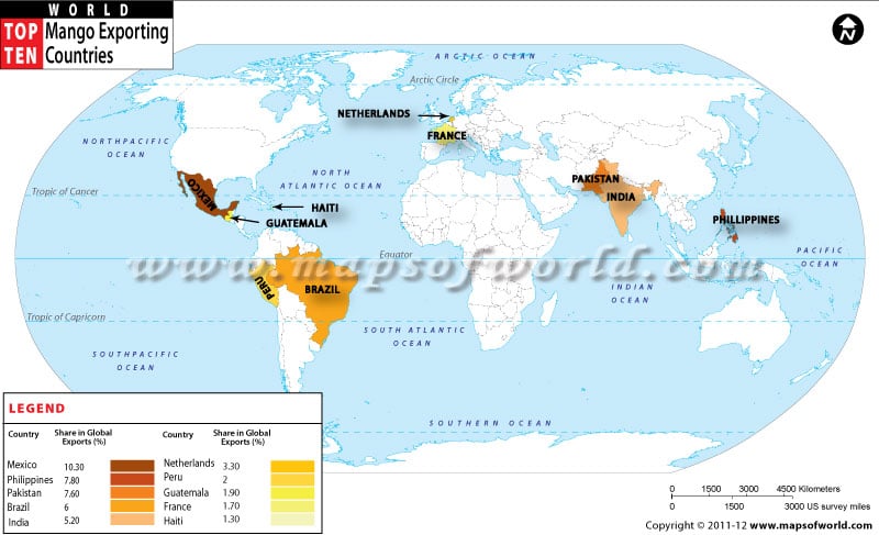 Top 10 Mango Exporting Countries in the World