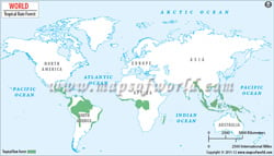 World Rainforests Map