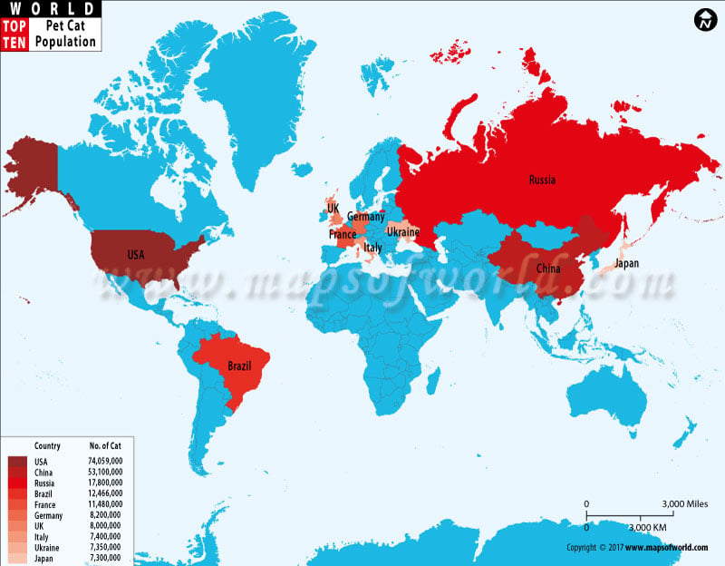 Top Ten Countries With Most Pet Cat Population