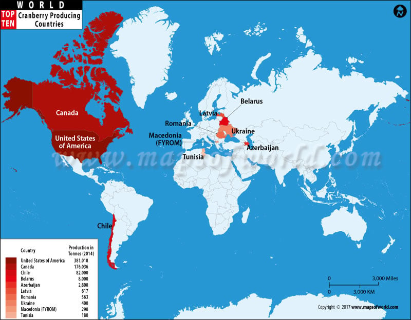 Top Ten Agricultural Exports Countries Map