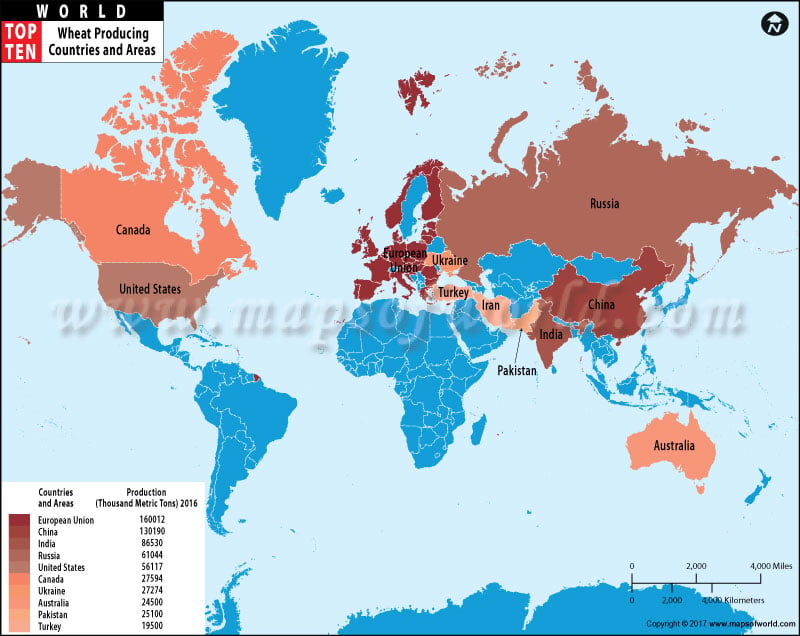 World Map with Top Ten Countries by Wheat Production