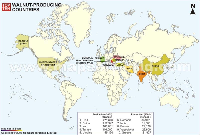 World Top Ten Walnut Producing Countries Map